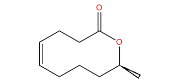 (R)-Phoracantholide J